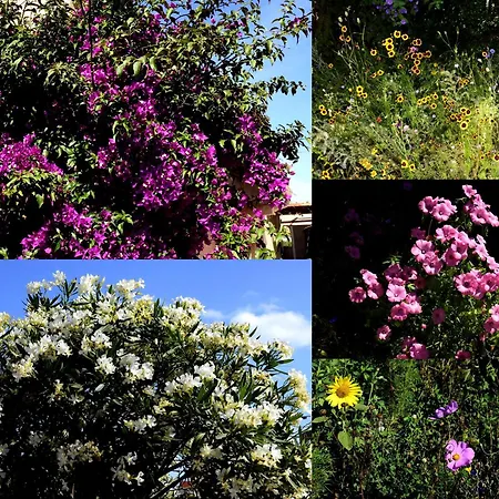 Les 2 Dauphins Alloggio in famiglia Le Barcarès